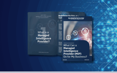 What Can a Managed Intelligence Provider (MIP) Do for My Business?